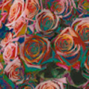 Meet your Posher, Mo